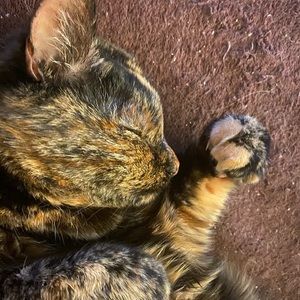 Meet your Posher, Katherine